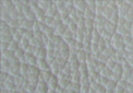 Silver Grey