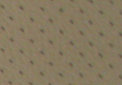Perforated