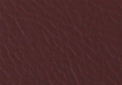 Bodex